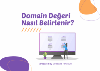 Domain Değeri Nasıl Belirlenir? | Alan Adı Fiyatlandırma Rehberi 2025